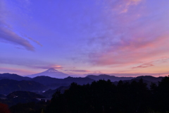 本日の富士山4