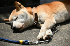 気持ちいい