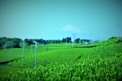 帰り道2