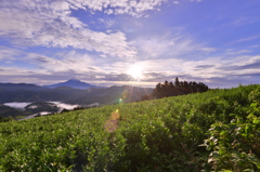 本日の富士山-3