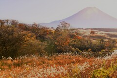 富士山2020.11.14