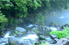 雨の芝川