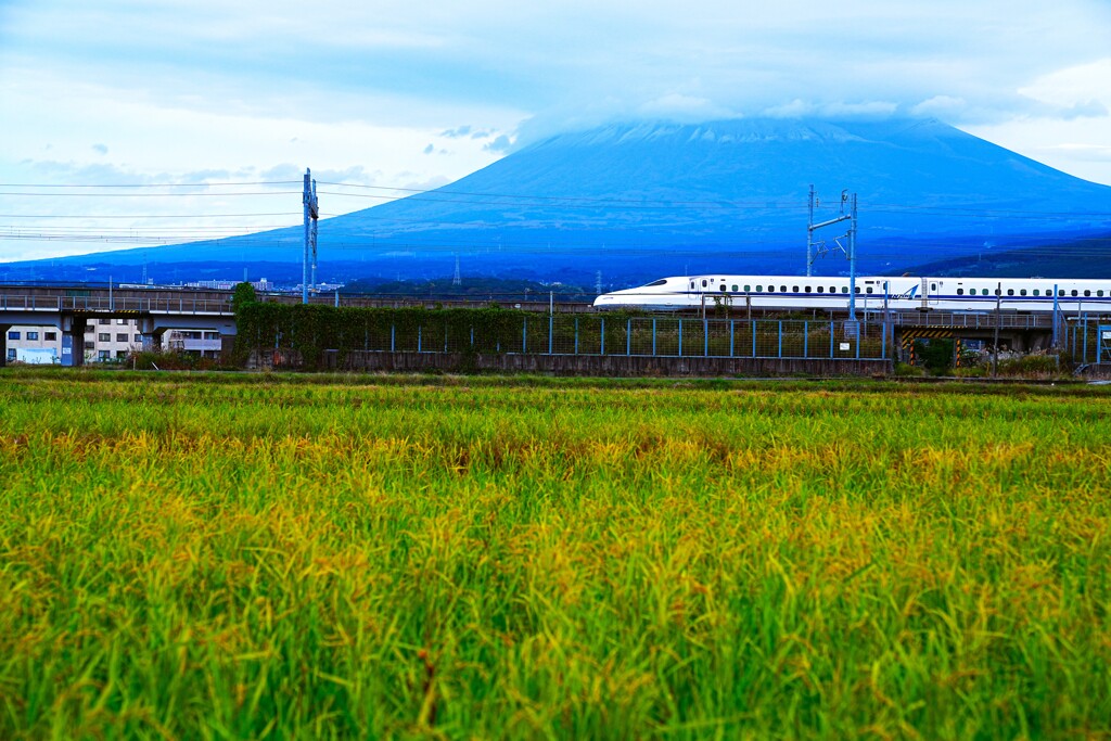 曇りでも富士山