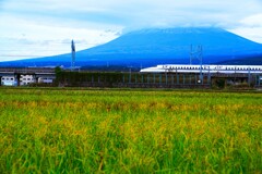 曇りでも富士山
