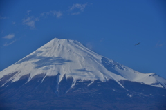 田子の浦からの富士山