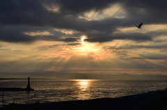 今朝の田子の浦