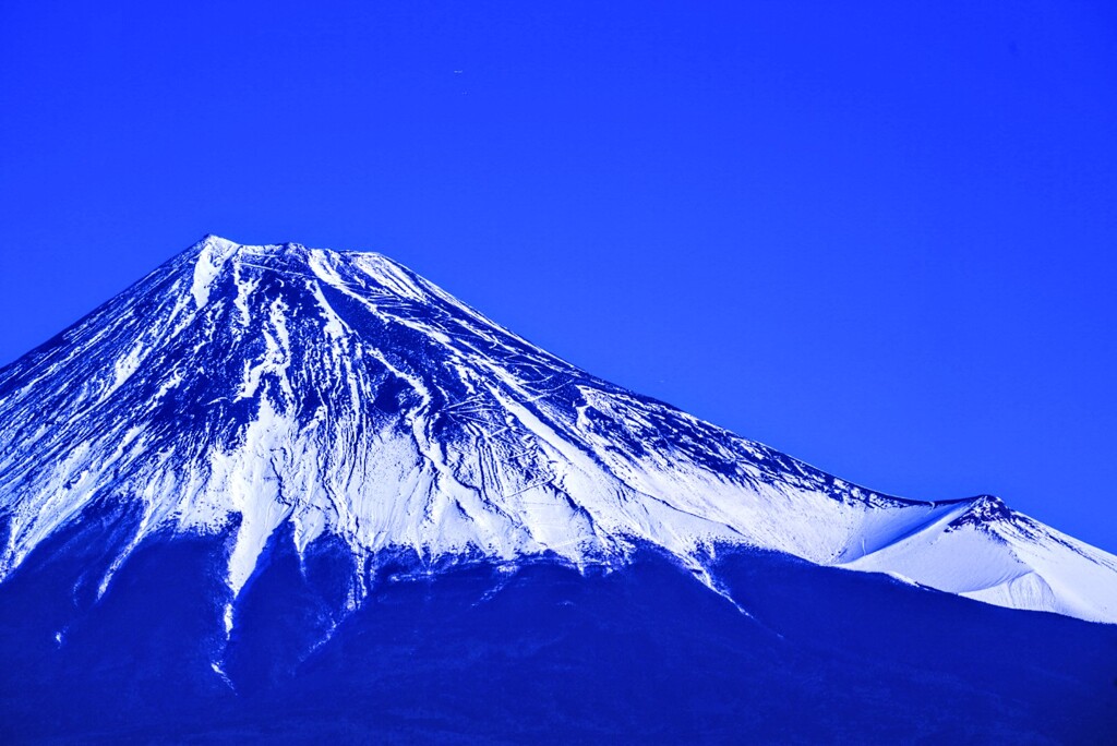 本年もよろしくお願い致します。