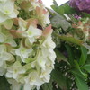 june*
