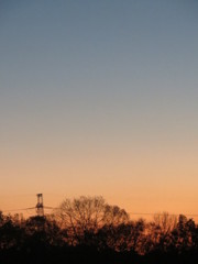 朝