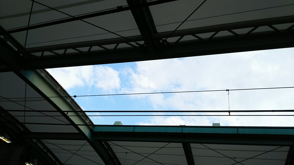 空が見えた。