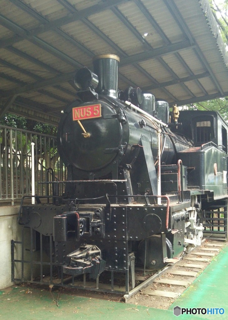 公園の蒸気機関車