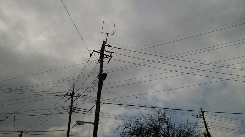 冬の空