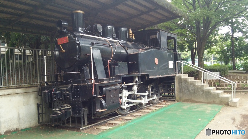 公園の蒸気機関車