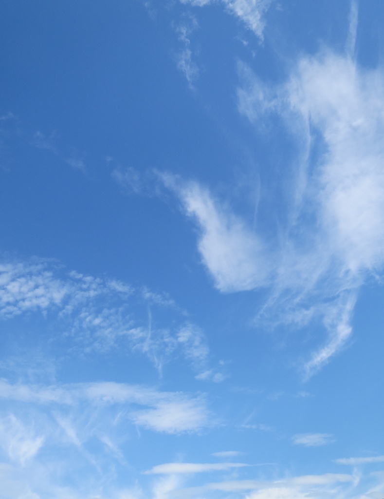 空