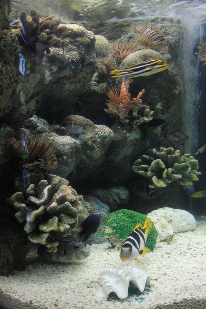 水族館