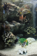 水族館