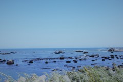 海