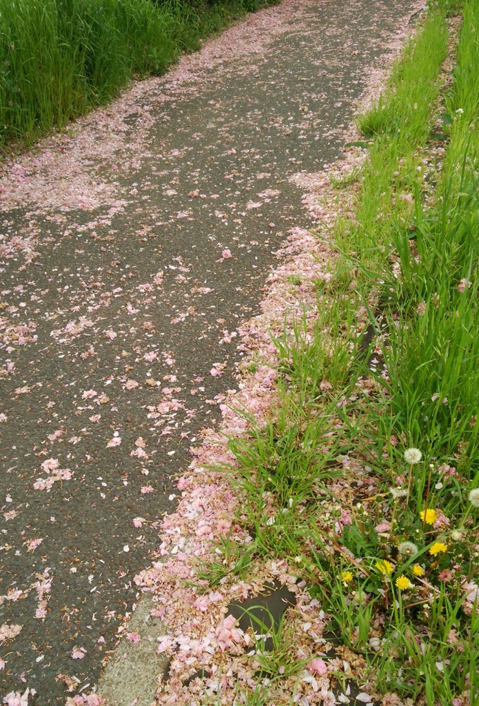 春の小路
