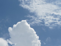 夏の空