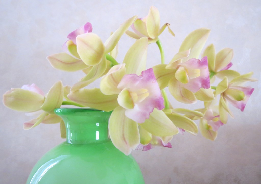 蘭の花