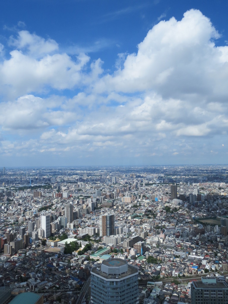 展望室から見た景色