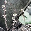 chasm