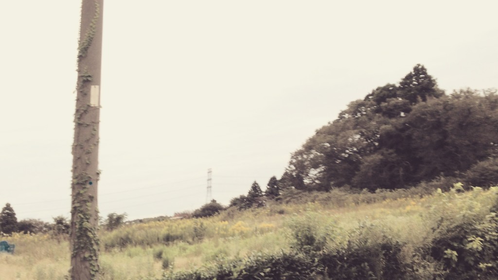 なんてことはない風景