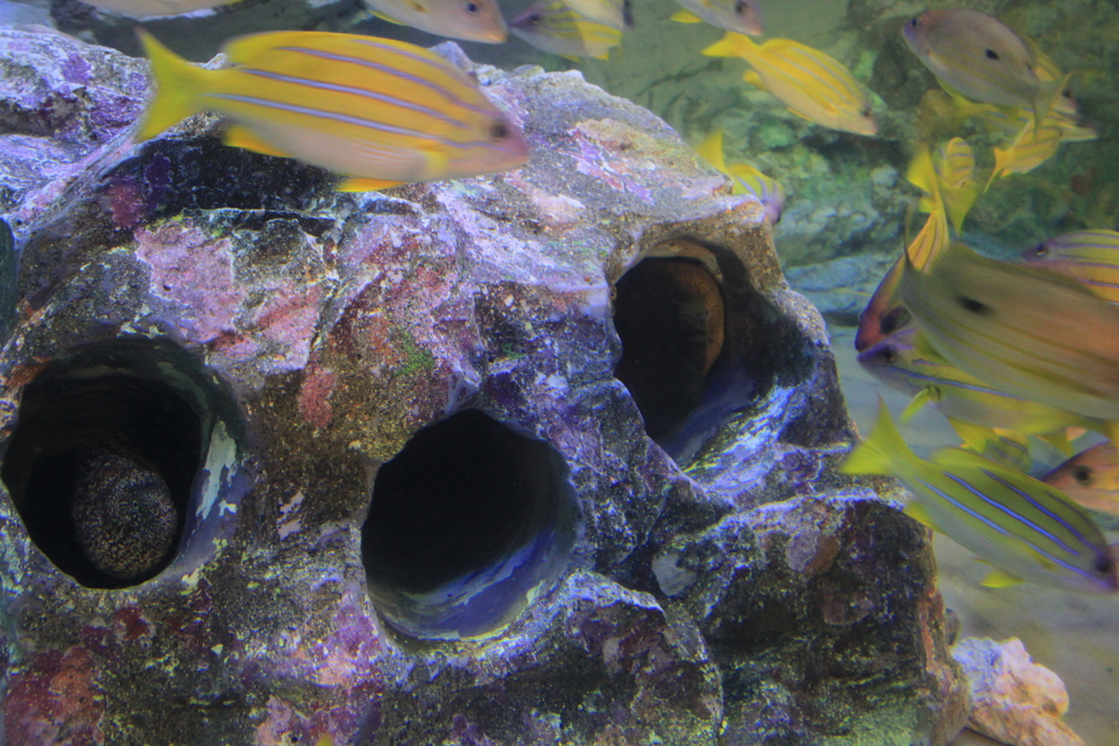 水族館