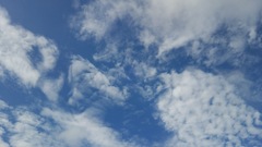 梅雨の晴れ間