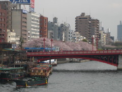 隅田川