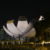 シンガポール
