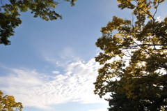 雲