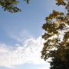 雲