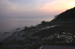 棚田の夜明け