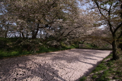 花いかだ