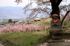 桃と桜とお地蔵さん