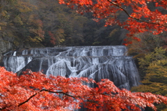 滝と紅葉