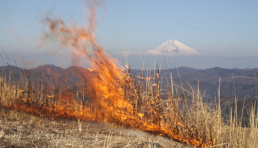 燃ゆる富士
