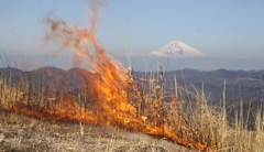 燃ゆる富士