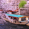 桜祭りの風物詩・・・屋形船