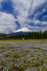 花畑の誓い