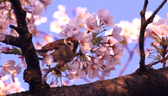 小さなコンシェルジュ