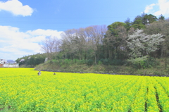 春を撮る！！
