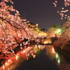 南区桜祭り2014ライトアップ　part１
