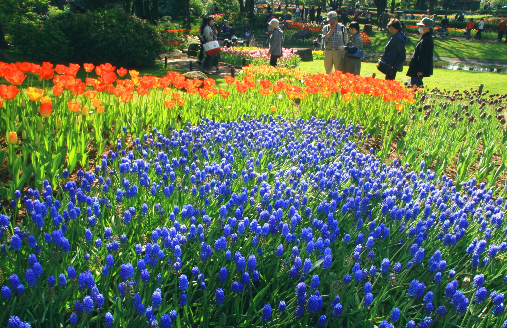 もう一つの・・・ＫＡＤＡN♪