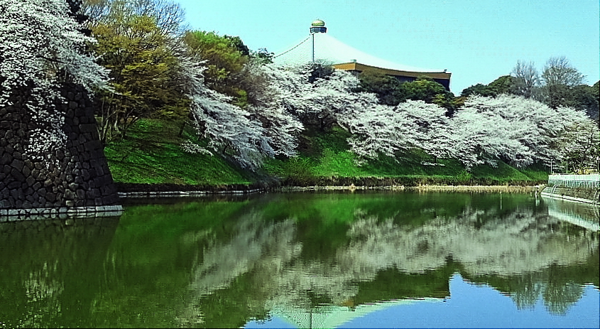 春の皇居～清水門から