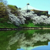春の皇居～清水門から