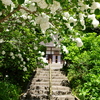 明月院〜開山堂