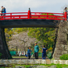 春の城址にて
