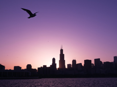 An Evening Scene of Chicago